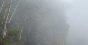 Escarpment fog