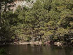 Kowmung River