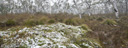 2. Newnes Plateau snowfall